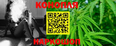 гашик Гай