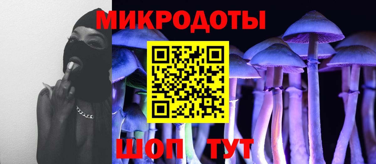 наркота  Галлюциногенные грибы мухоморы  Галлюциногенные грибы прущие грибы  Вход с VPN  Энгельс 