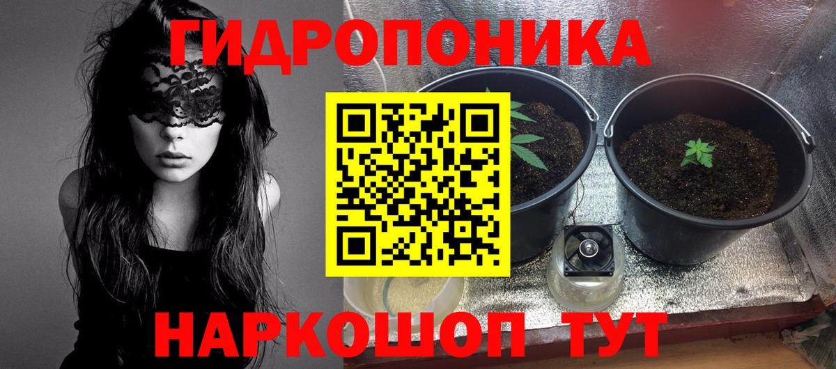 Энгельс  Канабис марихуана  Вход с VPN  Канабис индика  Шишки марихуана конопля 